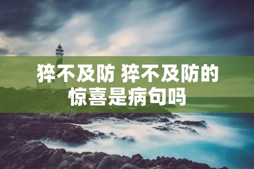 猝不及防 猝不及防的惊喜是病句吗