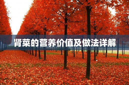 肾菜的营养价值及做法详解 肾菜的营养价值及做法详解