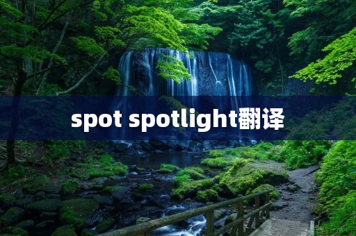 spot spotlight翻译