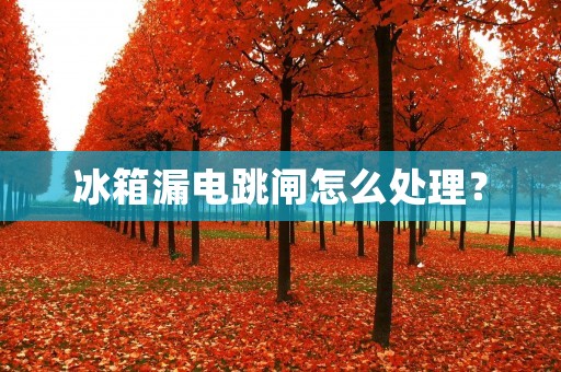 冰箱漏电跳闸怎么处理？
