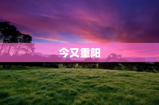 今又重阳:重温传统,感受中华文化的博大精深 今又重阳:重温传统,感受中华文化的博大精深