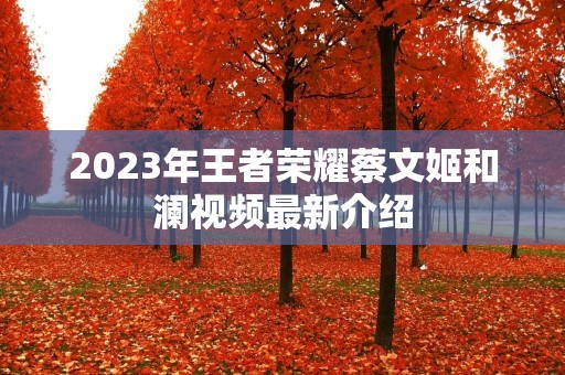 2023年王者荣耀蔡文姬和澜视频最新介绍