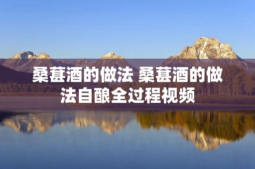 桑葚酒的做法 桑葚酒的做法自酿全过程视频