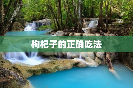 枸杞子的正确吃法:如何吃枸杞子才能最大程度地发挥其功效? 枸杞子的正确吃法:如何吃枸杞子才能最大程度地发挥其功效?
