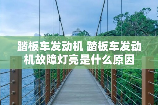 踏板车发动机 踏板车发动机故障灯亮是什么原因
