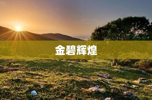 金碧辉煌：一场华丽的视觉盛宴