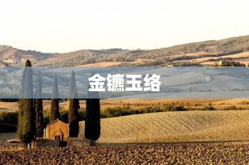 金镳玉络：民间传承的珍贵文化遗产
