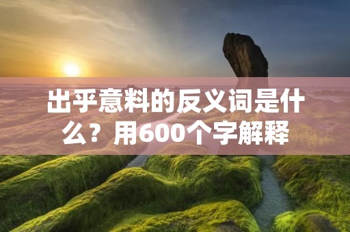 出乎意料的反义词是什么？用600个字解释
