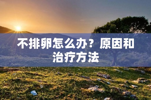 不排卵怎么办?原因和治疗方法 不排卵怎么办?原因和治疗方法
