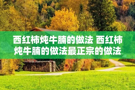 西红柿炖牛腩的做法 西红柿炖牛腩的做法最正宗的做法高压锅