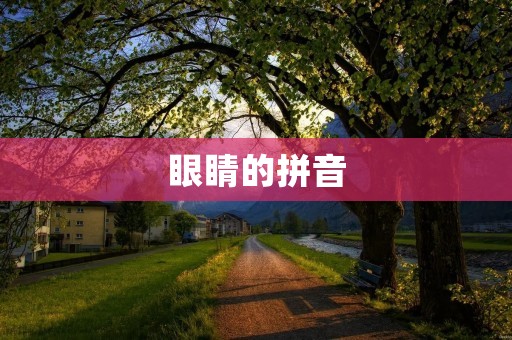 眼睛的拼音：yǎn jīng