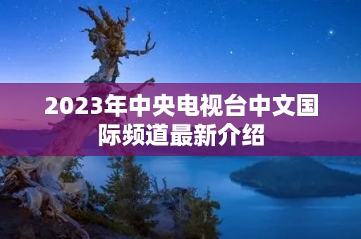 2023年中央电视台中文国际频道最新介绍