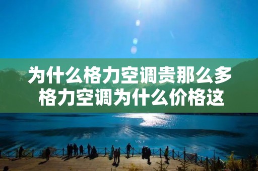 为什么格力空调贵那么多 格力空调为什么价格这么高