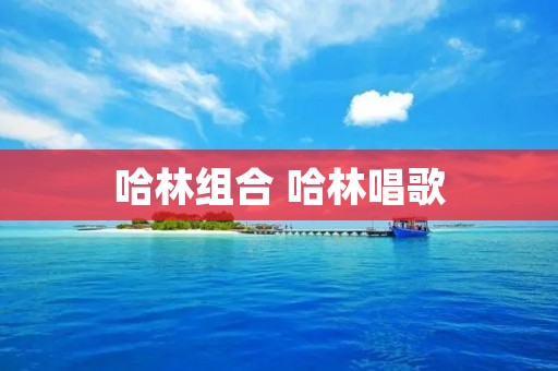 哈林组合 哈林唱歌