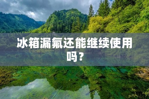 冰箱漏氟还能继续使用吗？