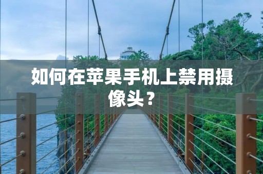 如何在苹果手机上禁用摄像头?