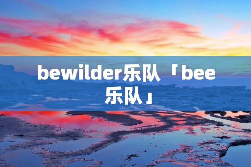 bewilder乐队「bee 乐队」 bewilder乐队「bee 乐队」