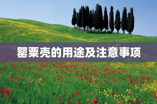 罂粟壳的用途及注意事项 罂粟壳的用途及注意事项