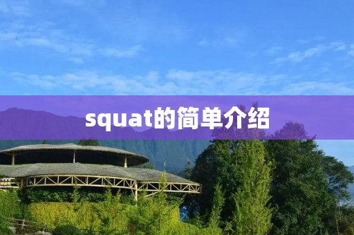squat的简单介绍