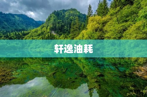 轩逸油耗：如何让你的爱车更省油？