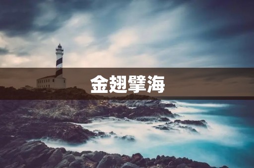 金翅擘海：一场壮阔的海上迁徙