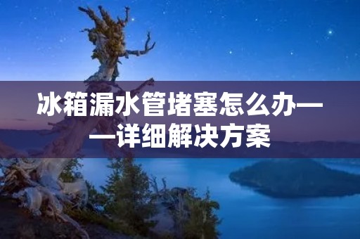 冰箱漏水管堵塞怎么办——详细解决方案