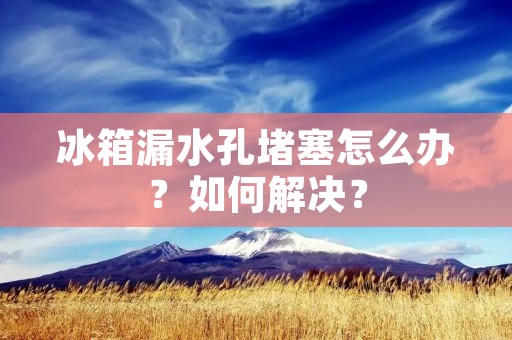 冰箱漏水孔堵塞怎么办？如何解决？