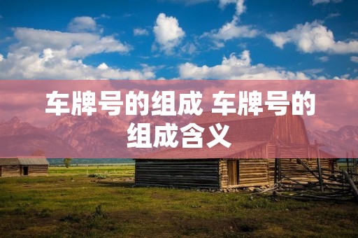 车牌号的组成 车牌号的组成含义 车牌号的组成 车牌号的组成含义