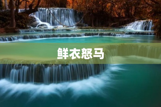 鲜衣怒马:展现青年气质的时尚搭配