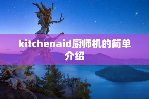 kitchenaid厨师机的简单介绍