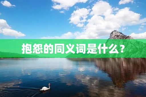 抱怨的同义词是什么?