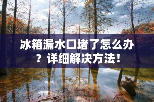 冰箱漏水口堵了怎么办？详细解决方法！