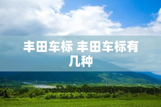 丰田车标 丰田车标有几种 丰田车标 丰田车标有几种