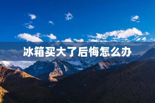 冰箱买大了后悔怎么办