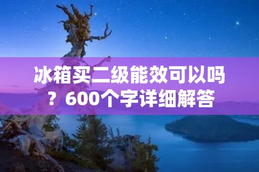冰箱买二级能效可以吗？600个字详细解答