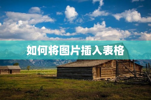 如何将图片插入表格