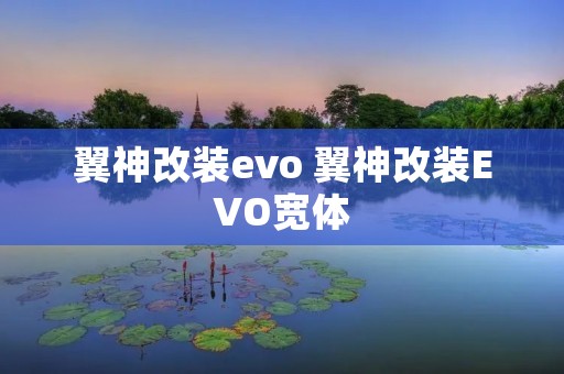翼神改装evo 翼神改装EVO宽体