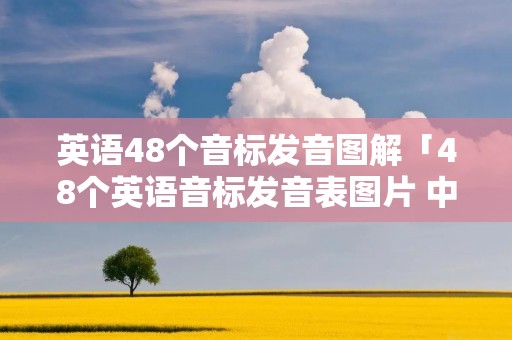 英语48个音标发音图解「48个英语音标发音表图片 中文」
