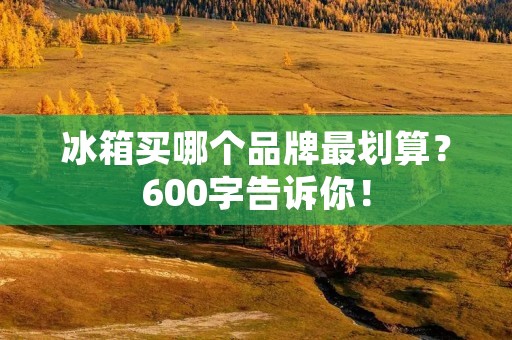 冰箱买哪个品牌最划算？600字告诉你！