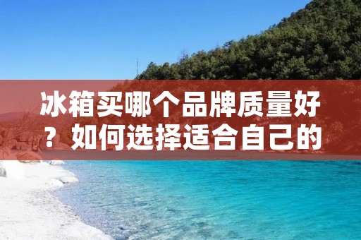 冰箱买哪个品牌质量好？如何选择适合自己的冰箱？