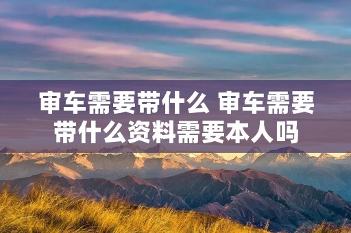 审车需要带什么 审车需要带什么资料需要本人吗