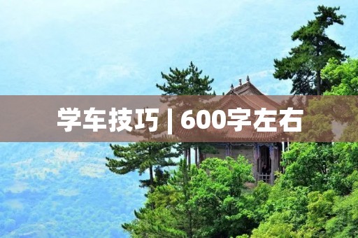 学车技巧 | 600字左右 学车技巧 | 600字左右