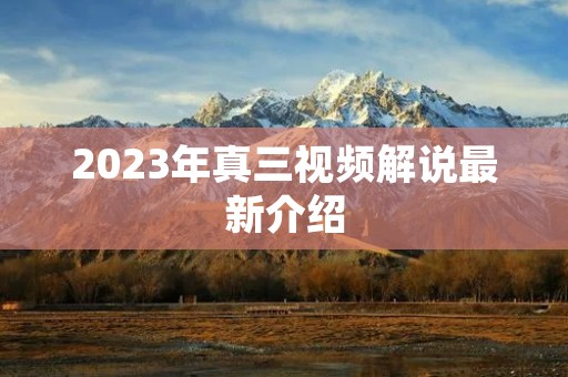 2023年真三视频解说最新介绍