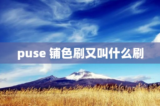 puse 铺色刷又叫什么刷