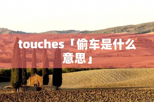 touches「偷车是什么意思」