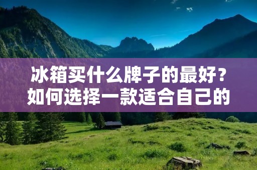 冰箱买什么牌子的最好？如何选择一款适合自己的冰箱？这是很多人购买家电时必须面对的问题。随着科技的不断发展，冰箱的种类越来越多，品牌也越来越多，不同的品牌有不同的性能和特点，如何选择一款性价比高的冰箱成为了很多消费者的难题。