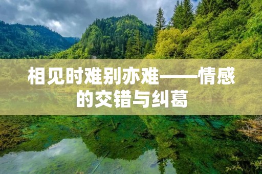 相见时难别亦难——情感的交错与纠葛