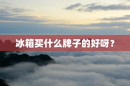 冰箱买什么牌子的好呀？