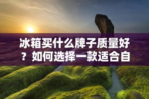 冰箱买什么牌子质量好？如何选择一款适合自己的冰箱？