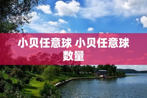 小贝任意球 小贝任意球数量